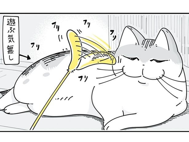 遊ぶ気がないのでは? ネコがなかなか離さない猫じゃらしの話