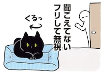 無視されたってうれしい！呼びかけへの反応が気まぐれな黒猫ろん