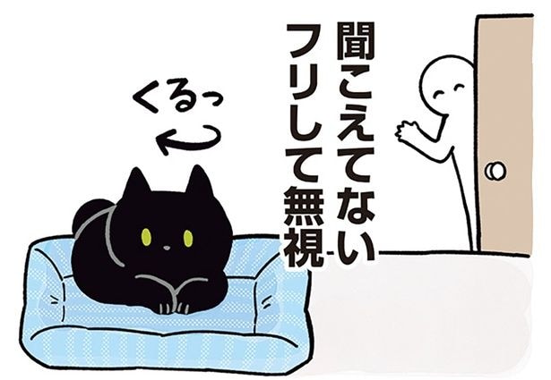 無視されたってうれしい！呼びかけへの反応が気まぐれな黒猫ろん