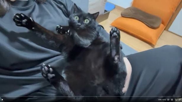 抱っこされていたあさりちゃん▶完全リラックスモードな姿から…（⇒次へ）