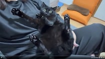 独特なポーズで抱っこされる黒猫。リラックスモードが一変したワケに「急にスイッチが入るのが可愛い」