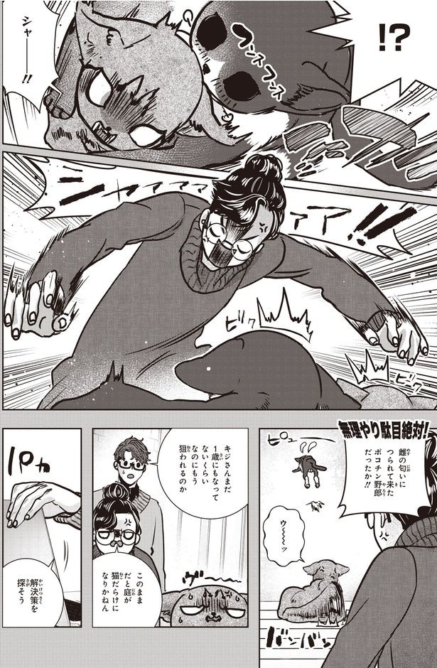 シャー！！