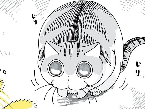緊張する…！