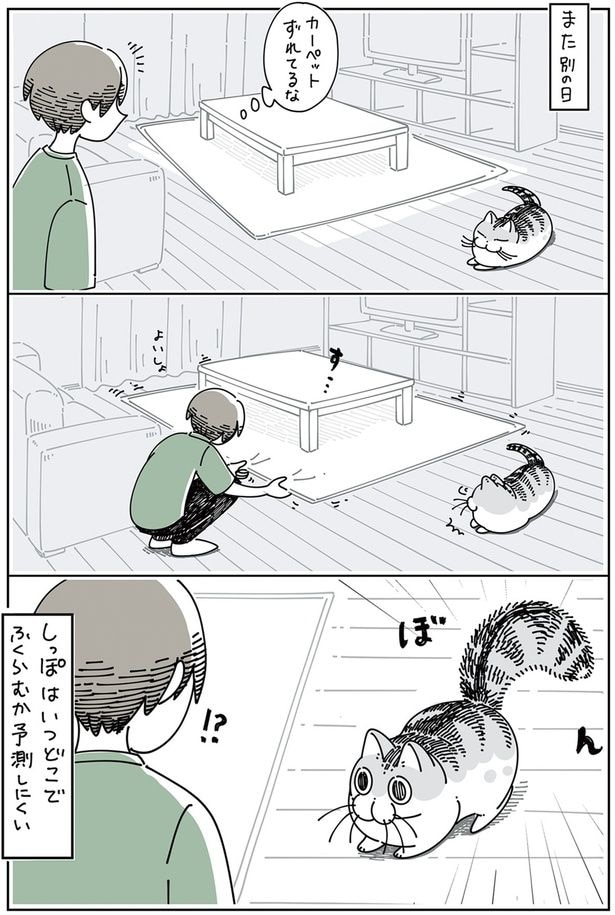 しっぽはいつどこでふくらむか予測しにくい