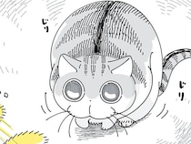 ギョロギョロ、ねりねり。猫じゃらしを前に、ネコより緊張しています
