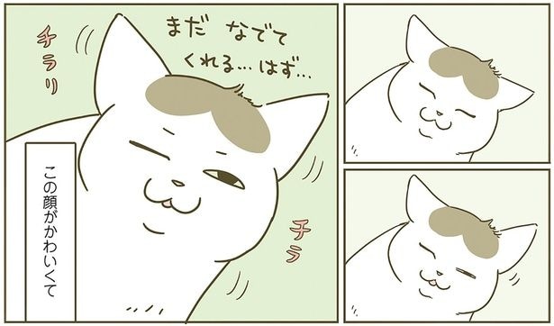 この顔がかわいくて