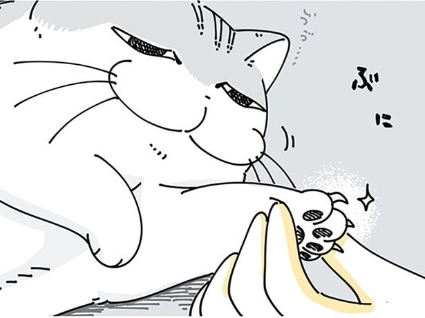 爪切りがしやすいタイミング