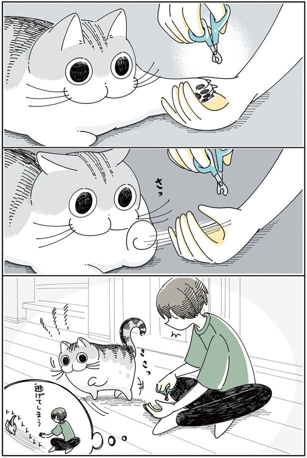 逃げてしまう…？