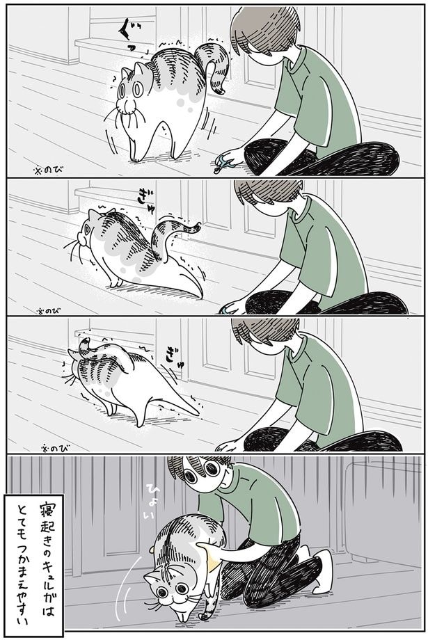 寝起きはつかまえやすい