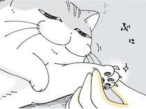 飼い主は知っている！ネコが嫌がる爪切り、スムーズにやれるタイミングは