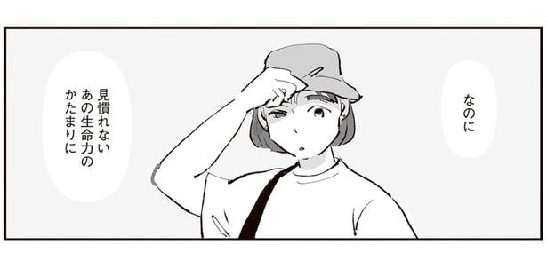 見慣れないあの生命力のかたまりに