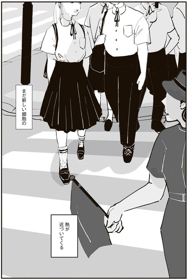 まだ新しい細胞の