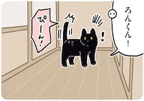 「ろんくん！」呼ばれてハッピ〜！ステップに気持ちが出ちゃう黒猫ろん