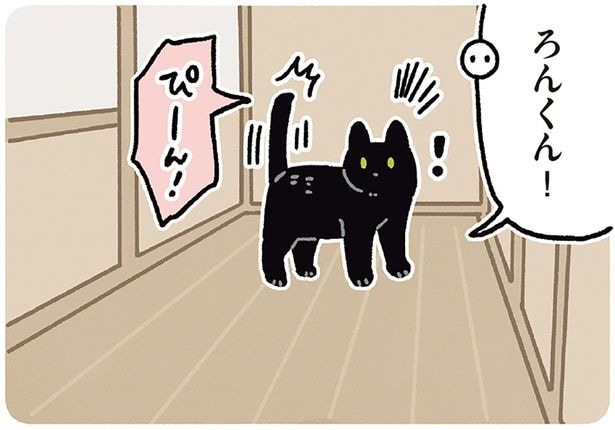 「ろんくん!」呼ばれてハッピ〜!ステップに気持ちが出ちゃう黒猫ろん