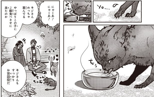 この子にご飯食べさせに来たのか