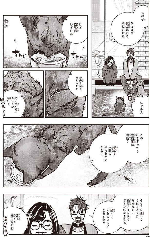 猫風邪ひどいね
