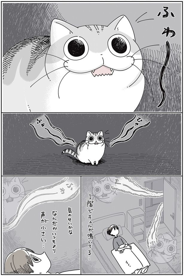 ネコが心配になる夜中