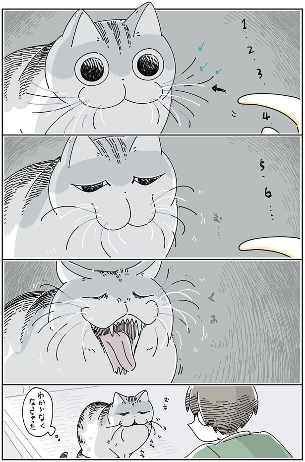 わからなくなっちゃった