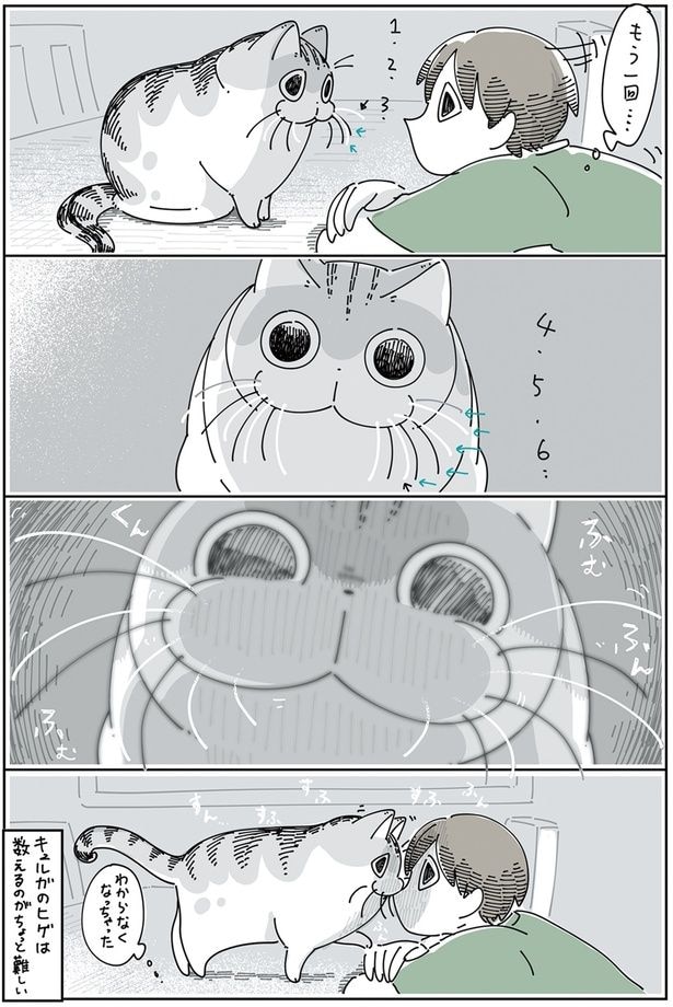 数えるのがちょっと難しい