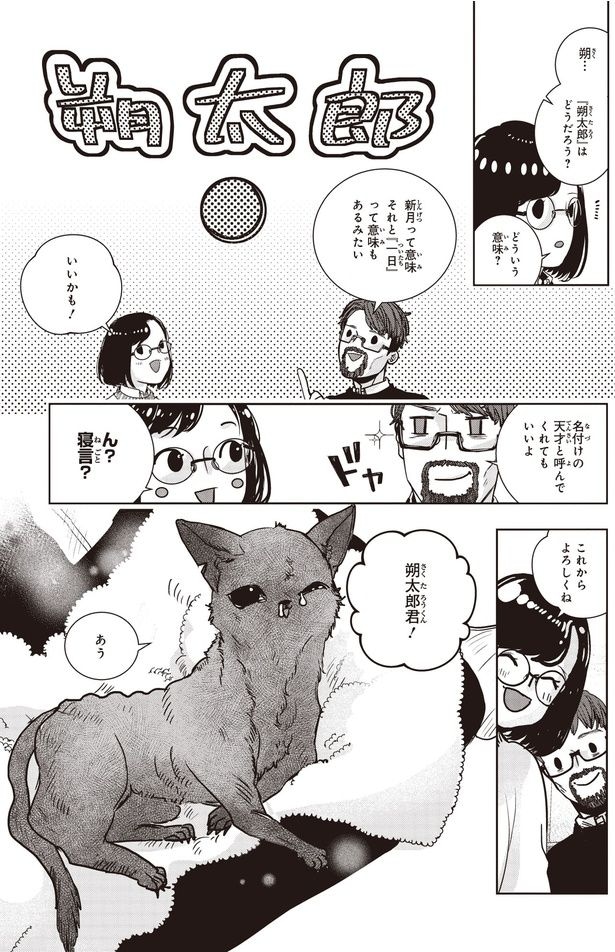 朔…