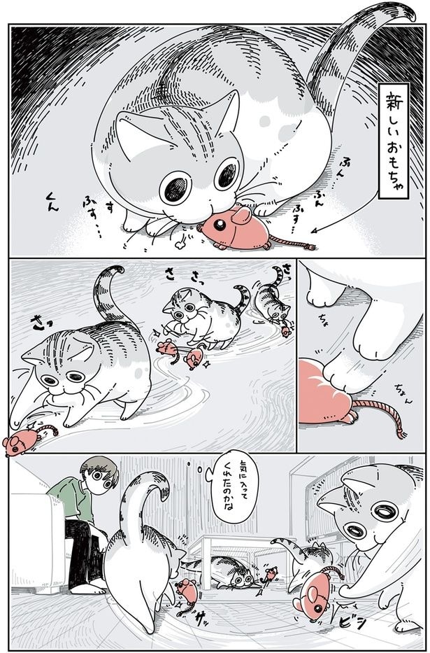 いれかわるおもちゃ