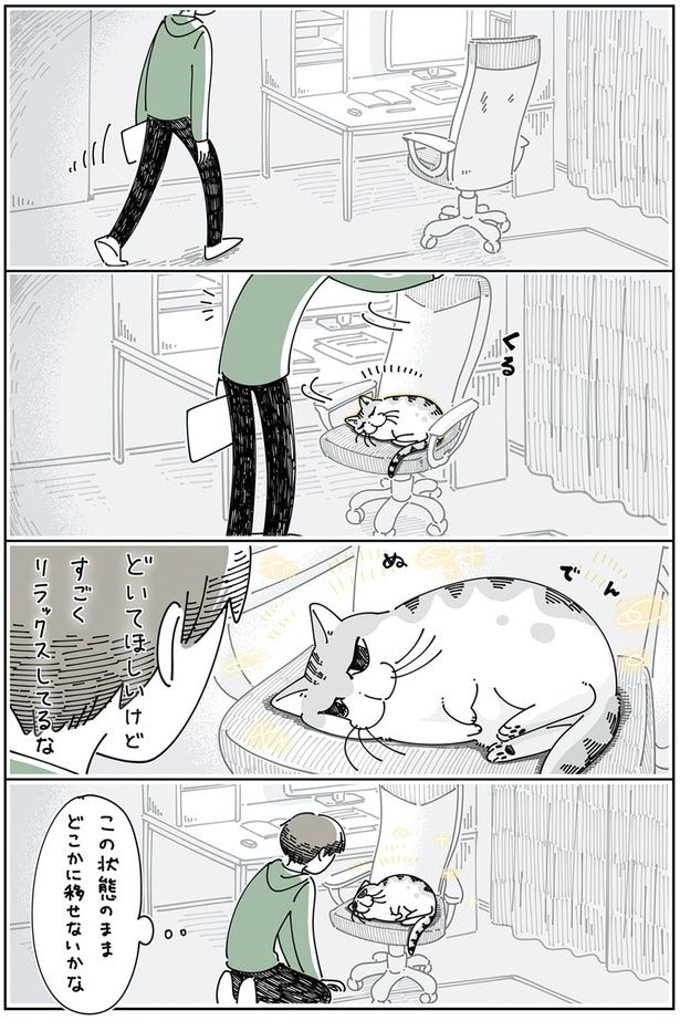 ネコを移す