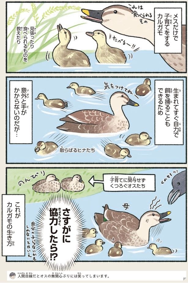 さすがに協力したら!?