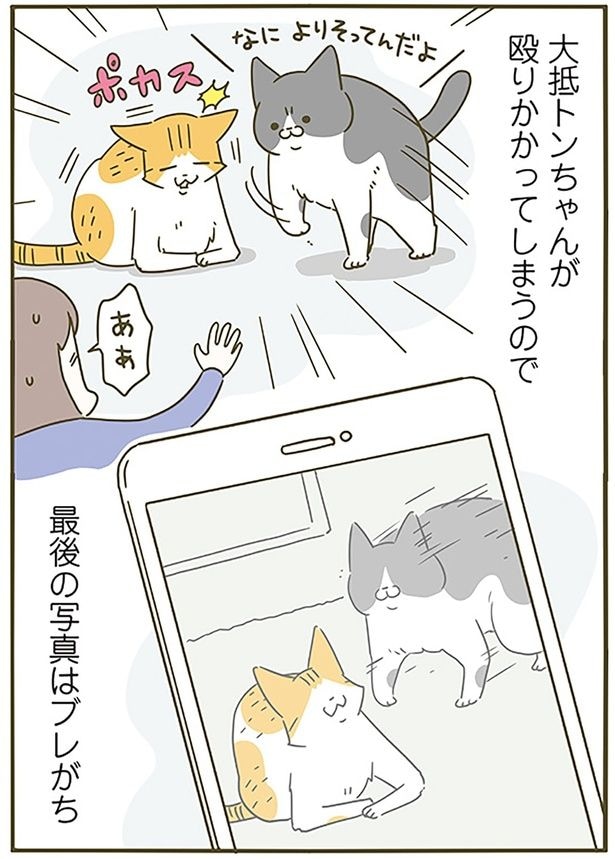 最後の写真はブレがち
