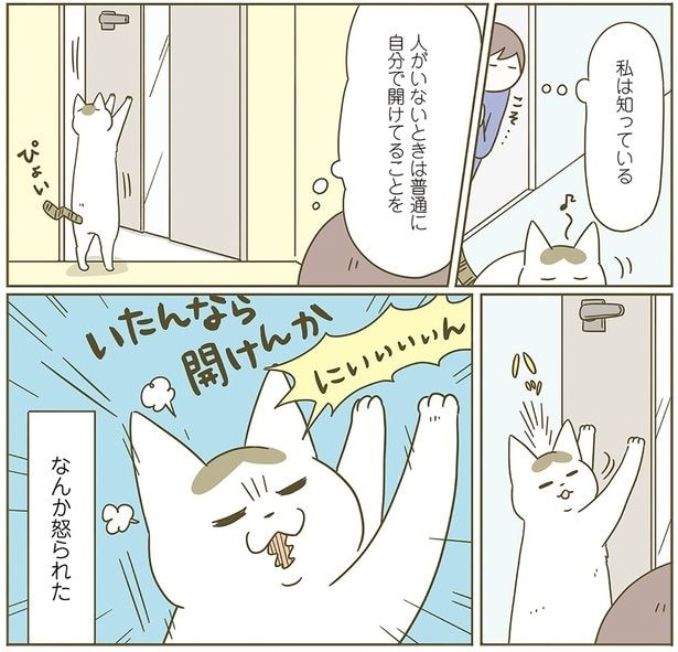 なんか怒られた