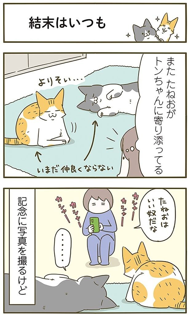 結末はいつも