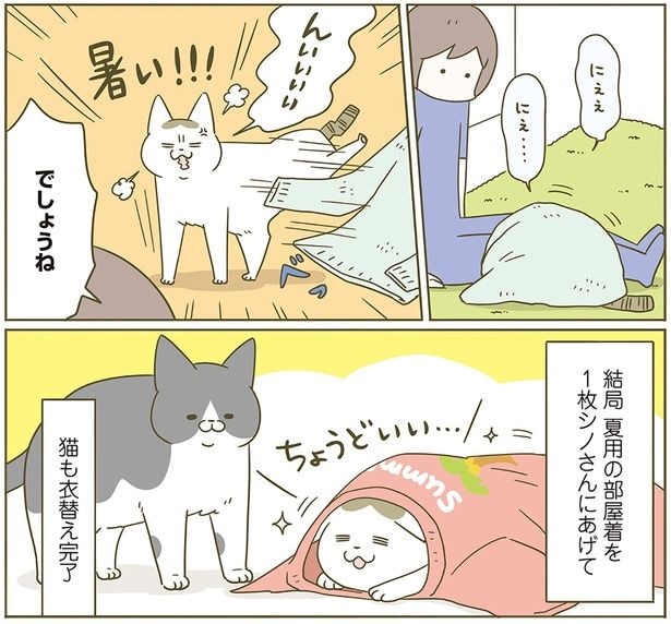 猫も衣替え完了