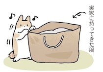 衣替えの季節と猫。服の入ったカバンは、最高のくつろぎスポットだった