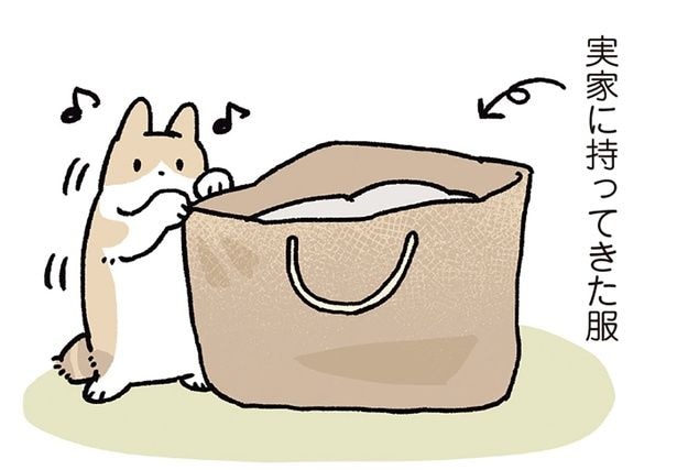 衣替えの季節と猫。服の入ったカバンは、最高のくつろぎスポットだった