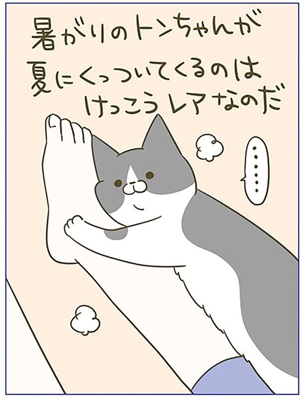 けっこうレア