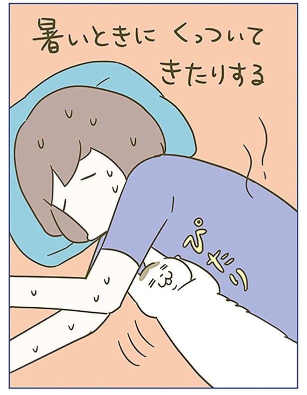 暑いときにくっついてきたりする