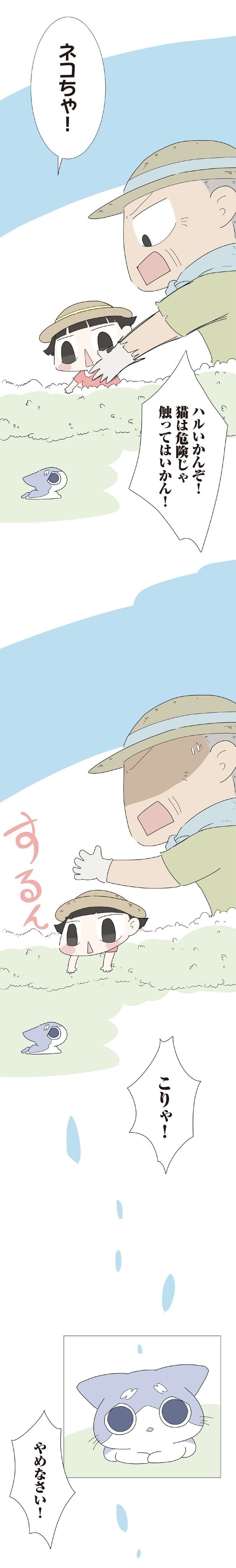 触ってはいかん!
