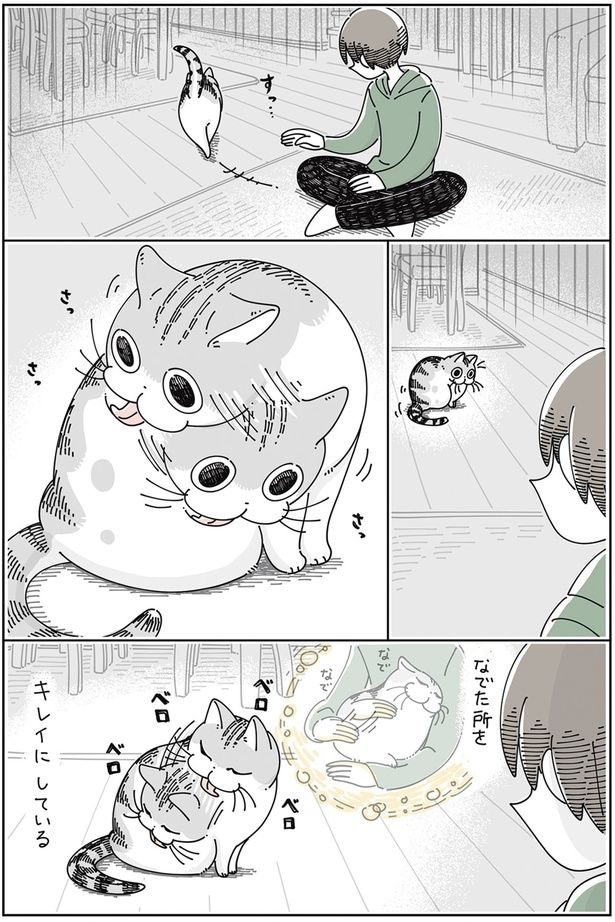 なでた所をキレイにしている