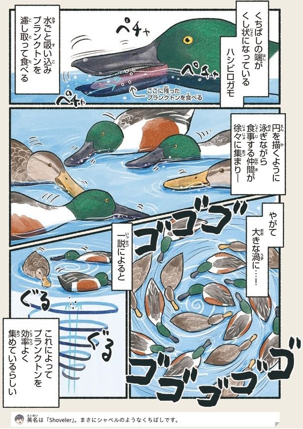 やがて大きな渦に…！