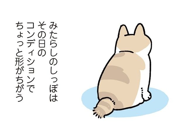 みたらしのしっぽ