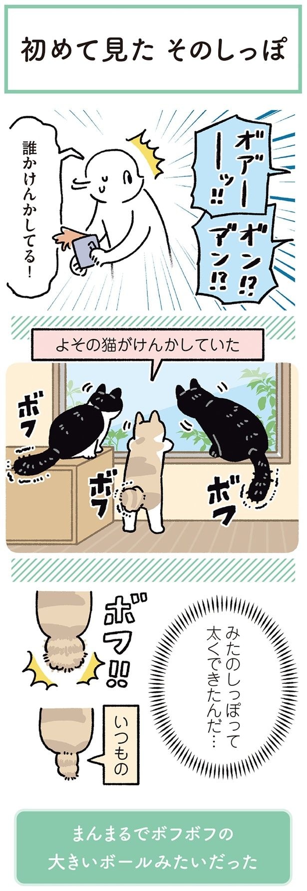初めて見た　そのしっぽ