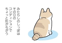 日によってフォルムが変わる？ミステリアスな猫のしっぽの秘密