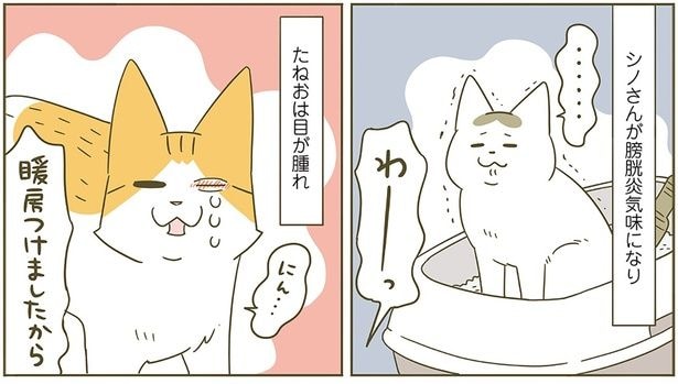 暖房つけましたから!
