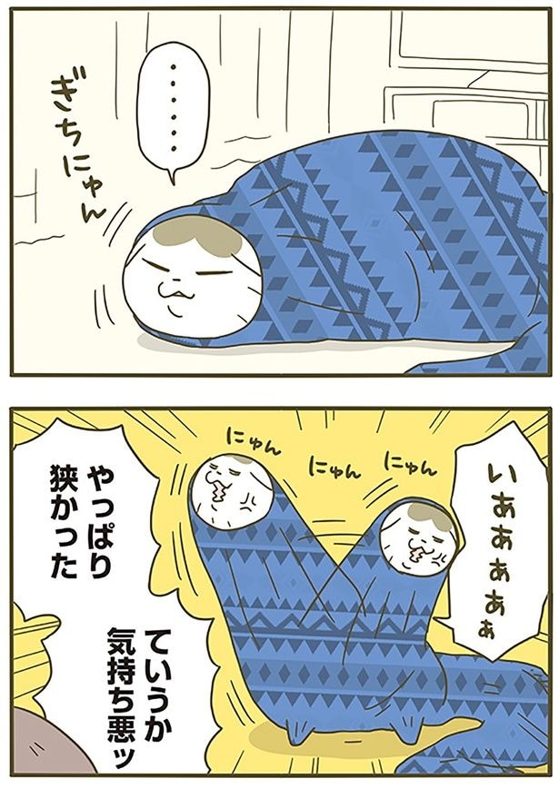 やっぱり狭かった