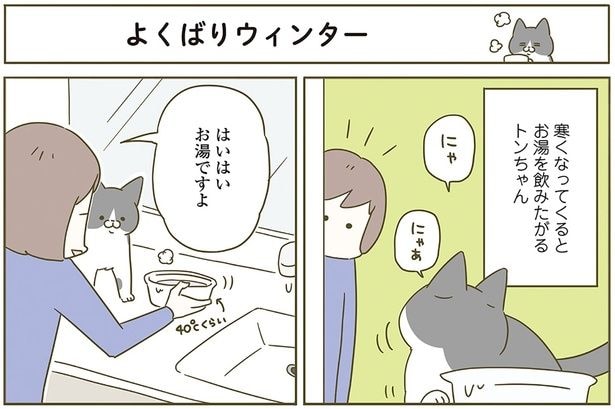よくばりウィンター