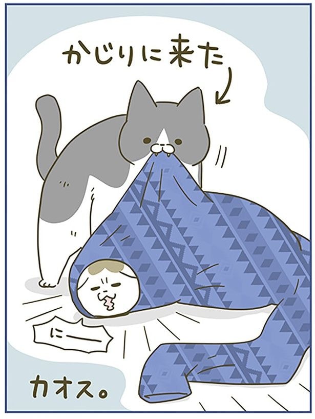 カオス。