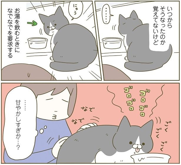 甘やかしすぎか…?