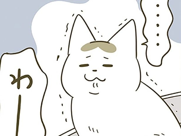 反省!! 季節の変わり目、暖房を入れるか迷った日の猫たちの変化