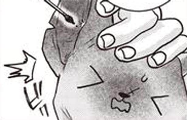 猫の診察