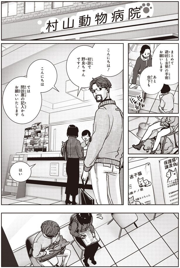 初診で野良ちゃんです!
