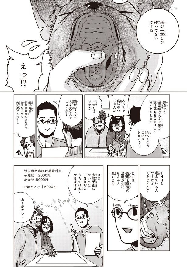 一本だけですか
